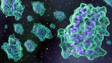 Mikroskobik seviyede kompleks leptin protein moleküler yapılarının 3 boyutlu yorumlanması. 