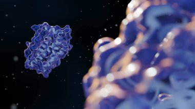 Mikroskobik seviyede kompleks leptin protein moleküler yapılarının 3 boyutlu yorumlanması. 