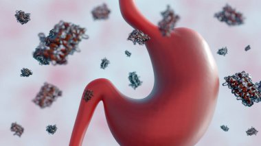 Üç boyutlu dağınık leptin molekülleri ve insan midesi. Mide, leptin gibi hormonları beyne gönderip yeme alışkanlıklarını etkiliyor..