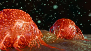 Kanser hücrelerinin mikroskop altında üç boyutlu animasyonu, istilacı büyümeyi işaret eden, kötü huyluluğun eleştirel bir karakteristiği olan daha büyük bir hücreden uzanan dokunaç benzeri çıkıntılar tasvir eder..