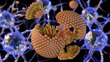 Beynin sinir ağı içinde parçalanan ya da parçalanan lipozomların 3 boyutlu görüntülenmesi.