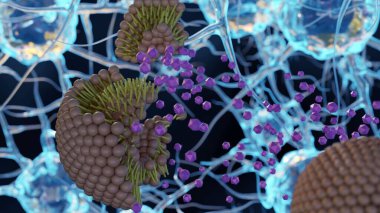 İçindekileri salan liposomların 3 boyutlu bir canlandırması, birbirine bağlı beyin nöronlarının arka planına karşı hedeflenmiş bir uyuşturucu dağıtım mekanizması.