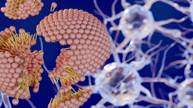 Beynin sinir ağı içinde parçalanan ya da parçalanan lipozomların 3 boyutlu görüntülenmesi.