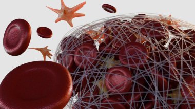 Aktif trombosit ve fibrin içeren bir kan damarındaki trombus oluşumunun 3 boyutlu görüntüsü pıhtı gelişiminde kullanılan birincil hücresel ve protein bileşenleri.