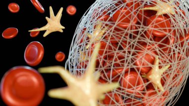 Aktif trombosit ve fibrin içeren bir kan damarındaki trombus oluşumunun 3 boyutlu görüntüsü pıhtı gelişiminde kullanılan birincil hücresel ve protein bileşenleri.