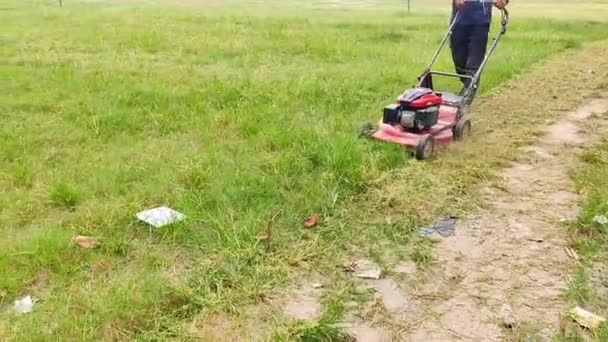 加尔各答 一名男子用电动割草机割草的近距离镜头 加尔各答游乐场 — 图库视频影像