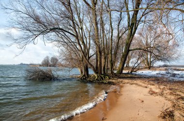 The Island of Dordrecht