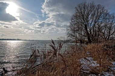 The Island of Dordrecht