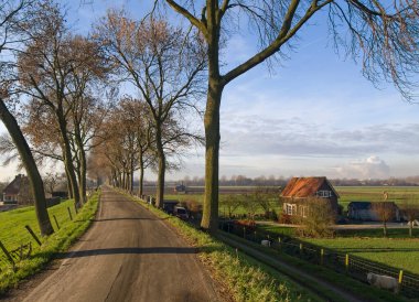 The Island of Dordrecht