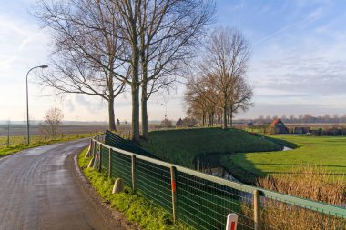 The Island of Dordrecht