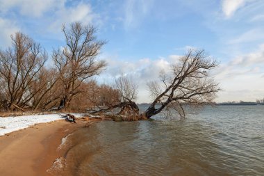 The Island of Dordrecht