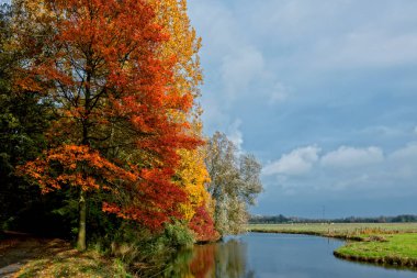The Island of Dordrecht