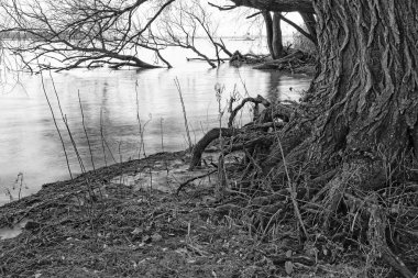 The Island of Dordrecht