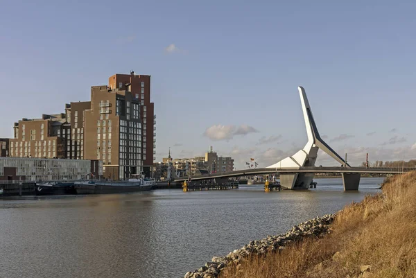 The Island of Dordrecht