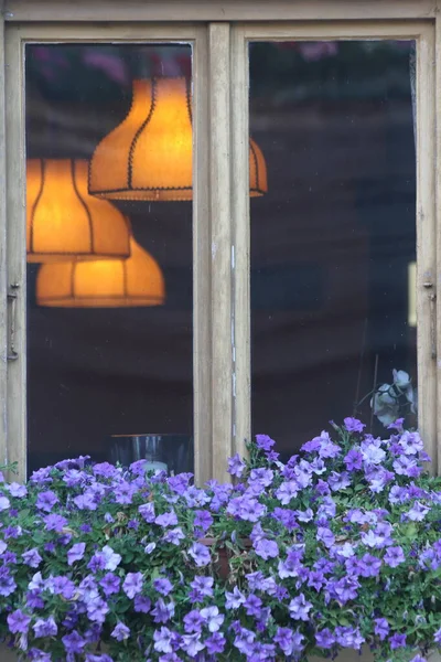 Баварське Вікно Дерев Яними Дверима Квітами Ліцензійні Стокові Зображення