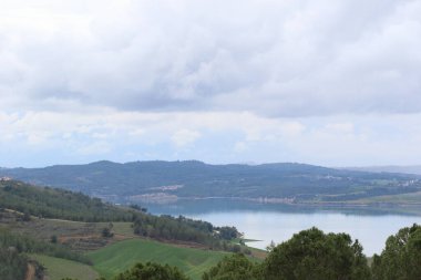 Dağın arka planında orman ve göl manzarası.