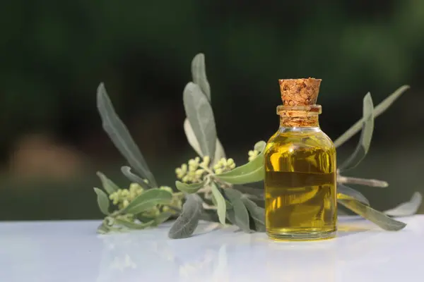 Olivenöl Der Flasche Und Blühende Olivenzweige Auf Dunklem Hintergrund — Stockfoto