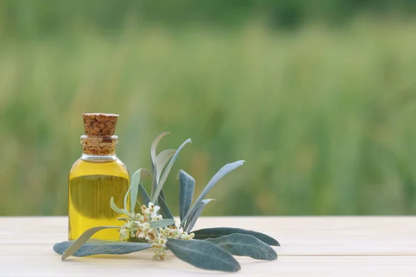 olive oil bottle with olive branch on wooden table. natural product background.