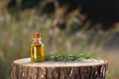 Bitkilerle dolu bir şişe yağ ve odun diliminde çiçekler.. 