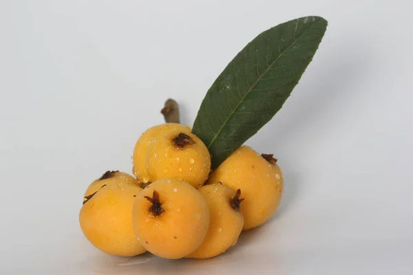 Loquat Eriobotrya Japonica 상록수 나무로 오렌지 열매와 만드는데 사용되는 상업적으로 — 스톡 사진