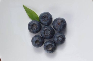 Yabanmersini, mavi ya da mor dutlu, uzun ömürlü ve yaygın olarak bulunan bir bitki topluluğudur.. 