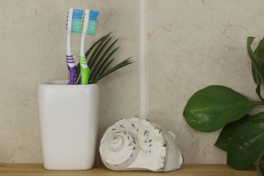 Diş fırçası banyoda plastik tutacakta. Naylon kıllar ve plastik saplar.. 