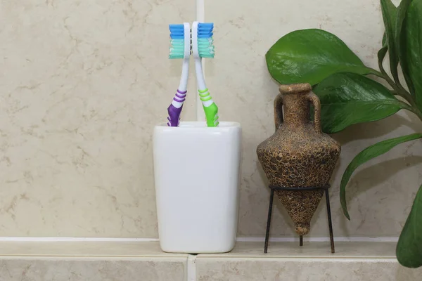 Diş Fırçası Banyoda Plastik Tutacakta Naylon Kıllar Plastik Saplar — Stok fotoğraf