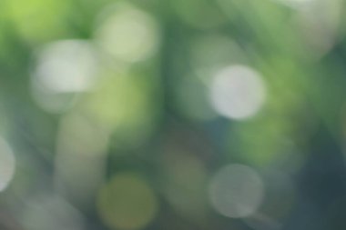 Güzel bir bokeh ile bulanık arkaplan