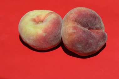 Kırmızı arkaplanda donut veya Satürn şeftalisi (Prunus persica F. kompressa)