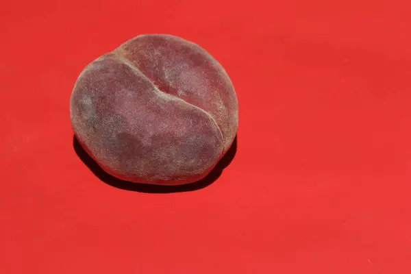Pączek Lub Brzoskwinia Saturna Prunus Persica Compressa Czerwonym Tle — Zdjęcie stockowe