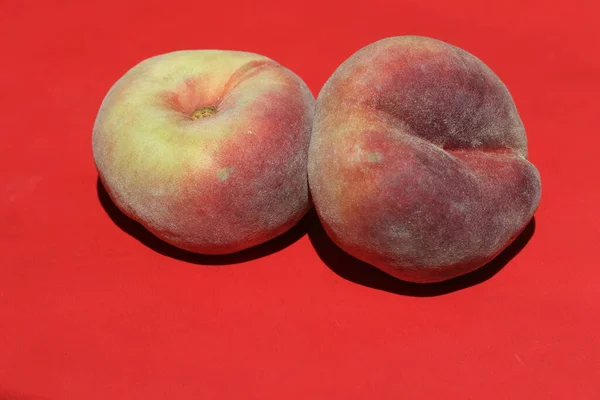 Pączek Lub Brzoskwinia Saturna Prunus Persica Compressa Czerwonym Tle — Zdjęcie stockowe