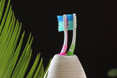 Diş fırçaları arka planda izole edilmiş. Naylon kıllar ve plastik saplar. Reklam metni için boş kopya alanı.
