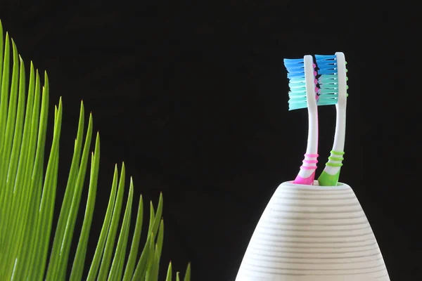 Toothbrushes Isolated Bokeh Background Nylon Bristles Plastic Handles Blank Copy — Stock Photo, Image