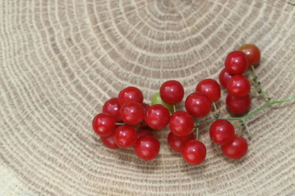 木のスライスにスミラックスアスペラの果物 — ストック写真