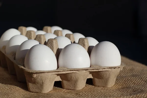 eggs in an egg box