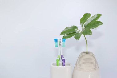 Beyaz arkaplanda plastik diş fırçası tutacağı