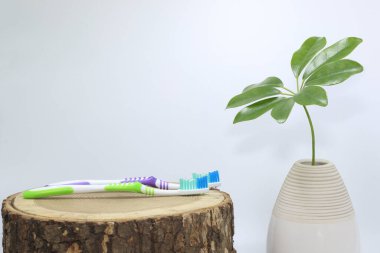 Beyaz arka planda tahta bir kesikte diş fırçaları