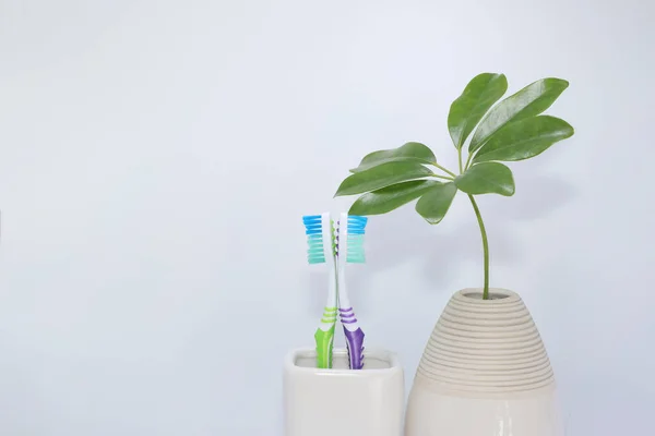 Toothbrushes in a plastic toothbrush holder on white background