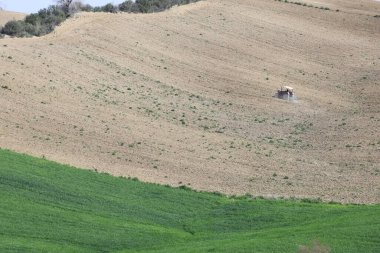 Baharda tarlayı süren çiftçi