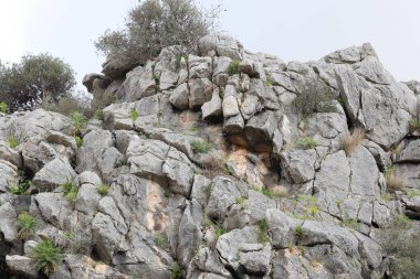 Boğa dağındaki Rocky tepesi