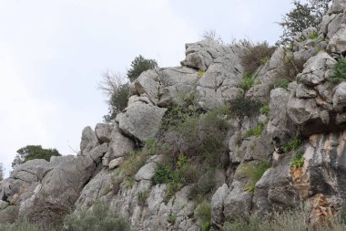 Boğa dağındaki Rocky tepesi