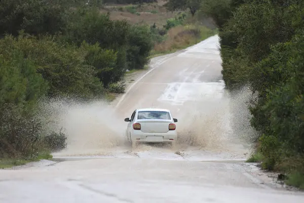 Yolun ortasında araba sürüyordu.