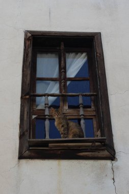 Eski evdeki eski pencerenin önündeki kedi