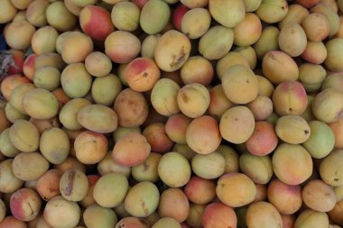 Markette kırmızı ve sarı kayısılar