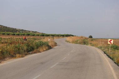 Yazın kırsalda yol