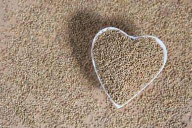 Küçük yenilebilir tohumları için yetiştirilen kinoa (Chenopodium quinoa) tohumları