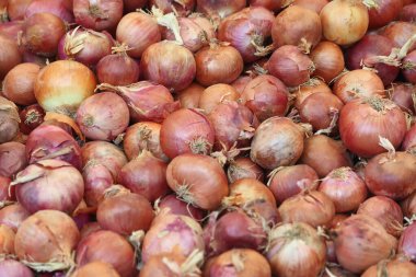Piyasadaki soğanları kapatın.