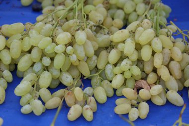 beyaz üzümler pazarda