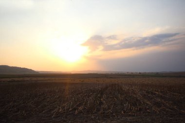 sunset over an agricultural  field clipart