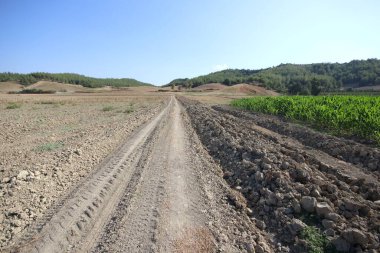 Tarımsal alanda yol